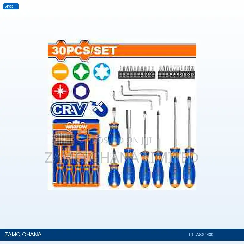 30 PCS Screwdriver - Wss1430