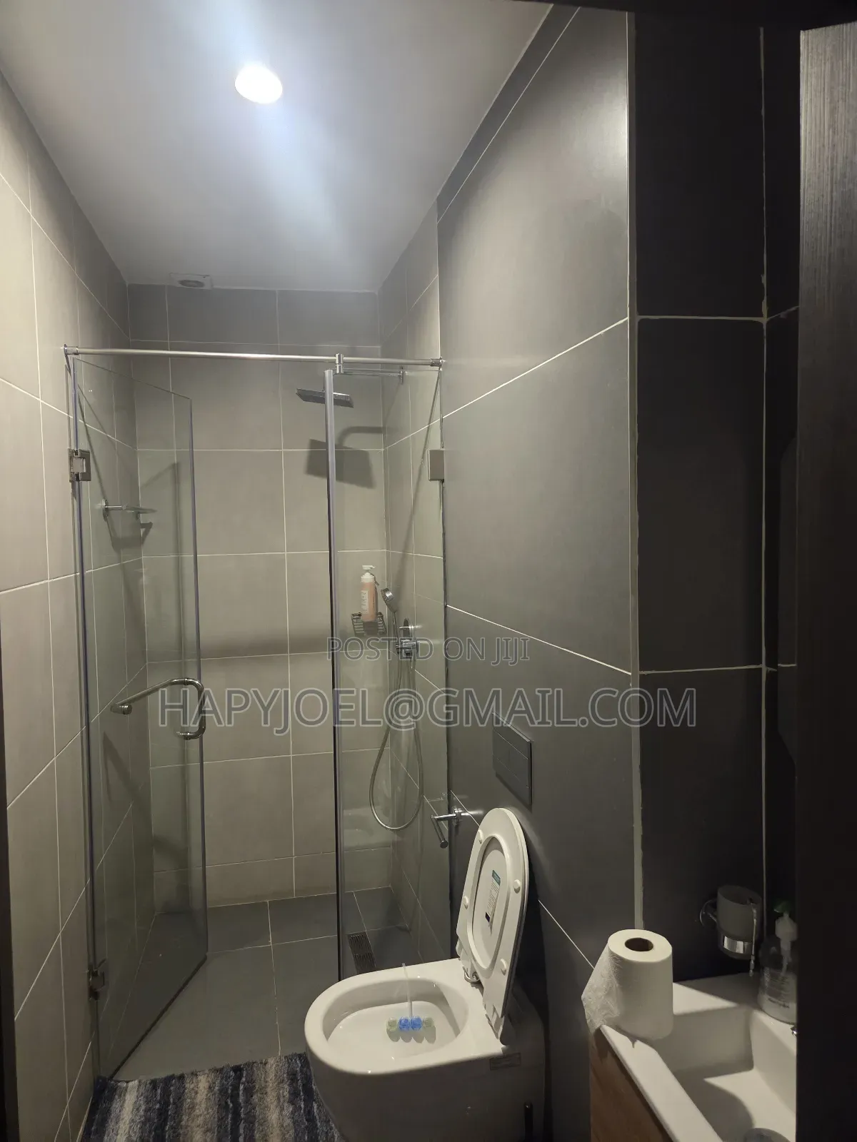 Furnished 1bdrm Apartment in Osu for rent