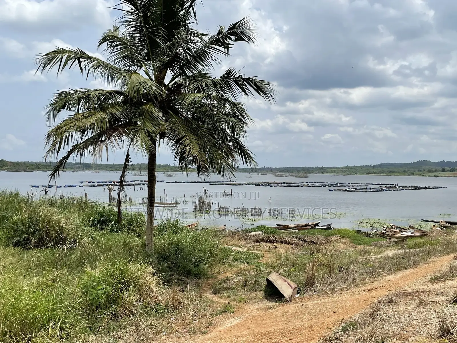 Farmlands at Winneba Simibrofo for Sale
