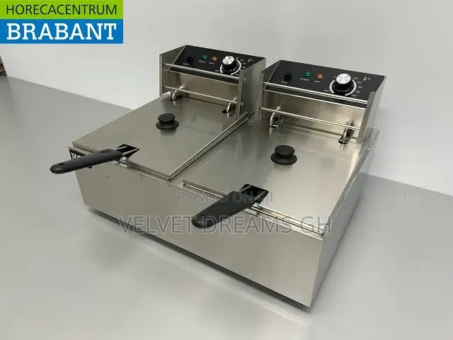 Double Deep Fryer Stainless Steel Twin Frying Machine