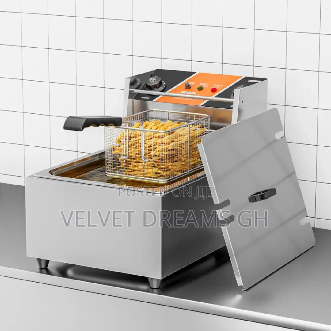 Single Deep Fryer Stainless Steel Electric Frying Machine