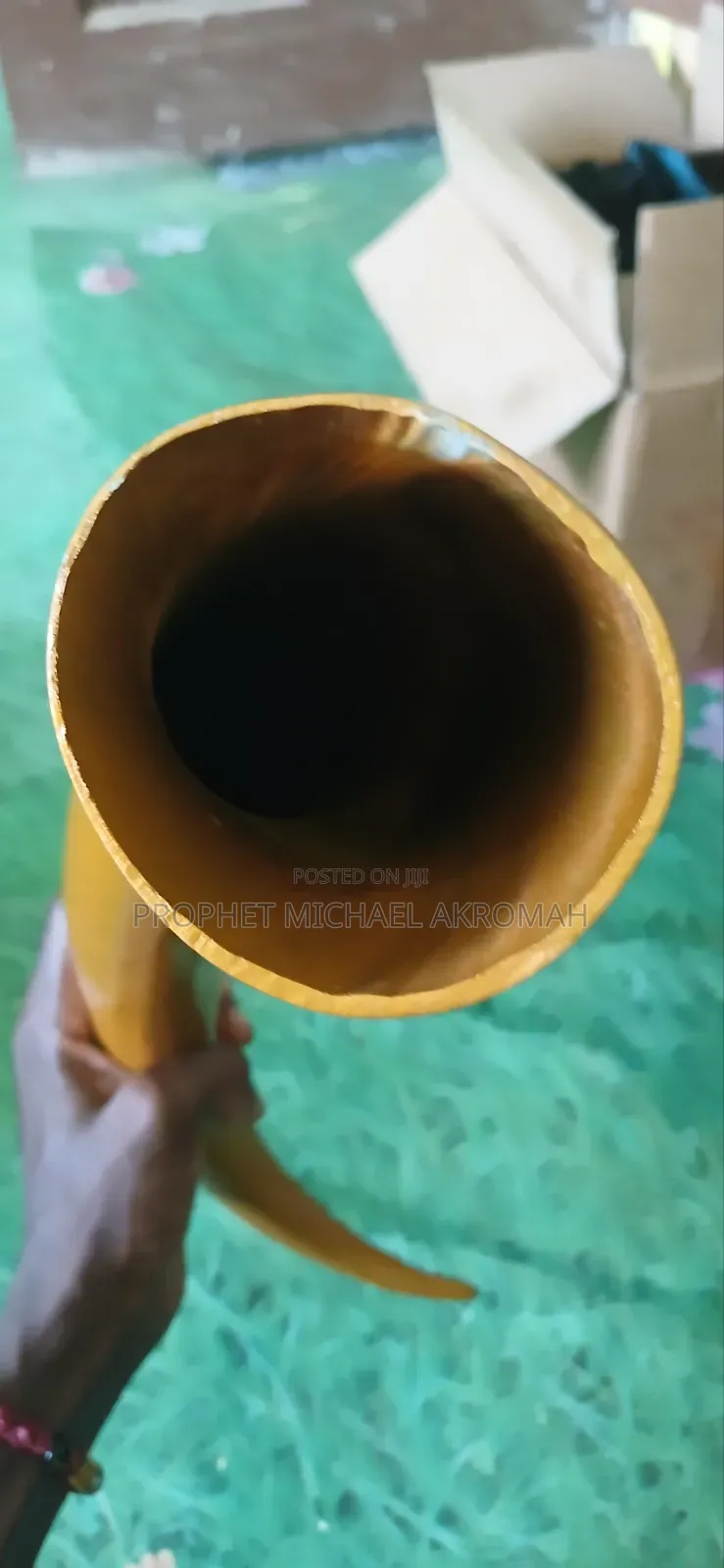 Horn - Polished Cow Horn for Spiritual Works