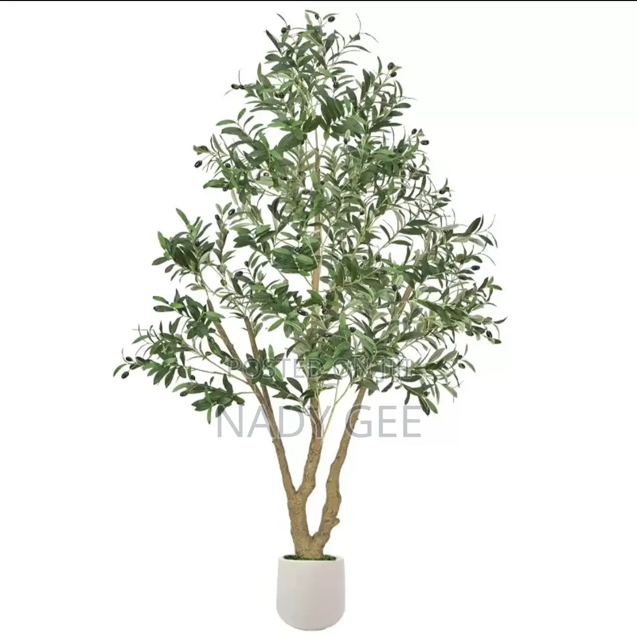 210 Cm Olive Faux Plant
