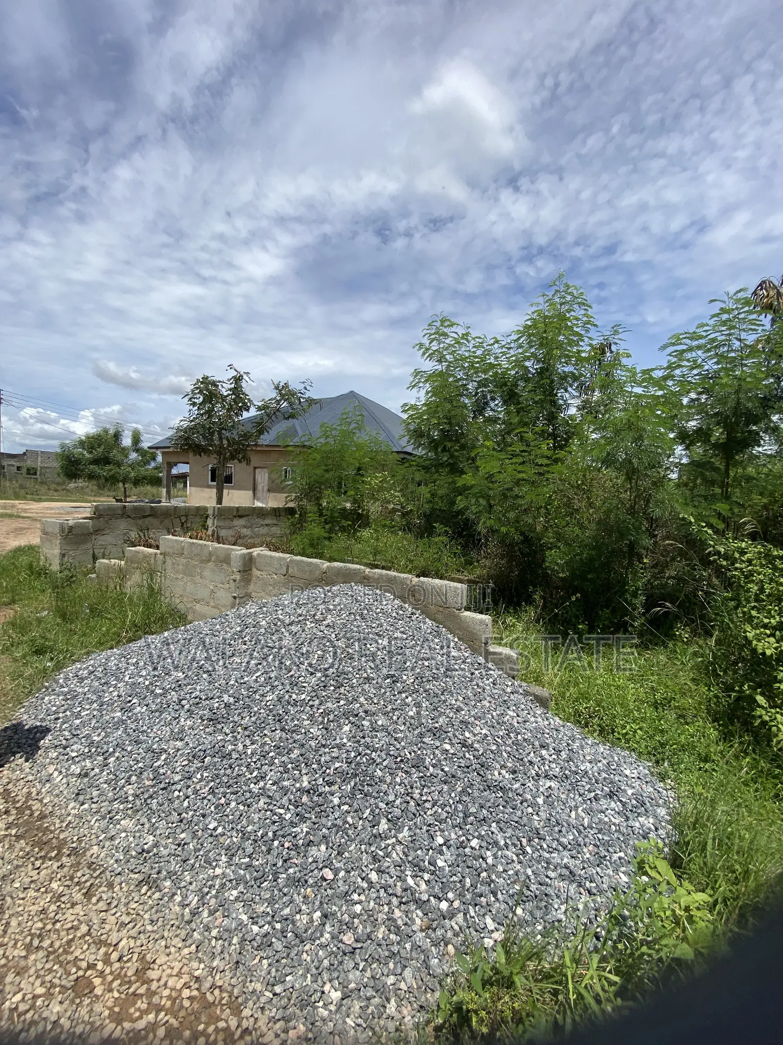 Half Plot of Land