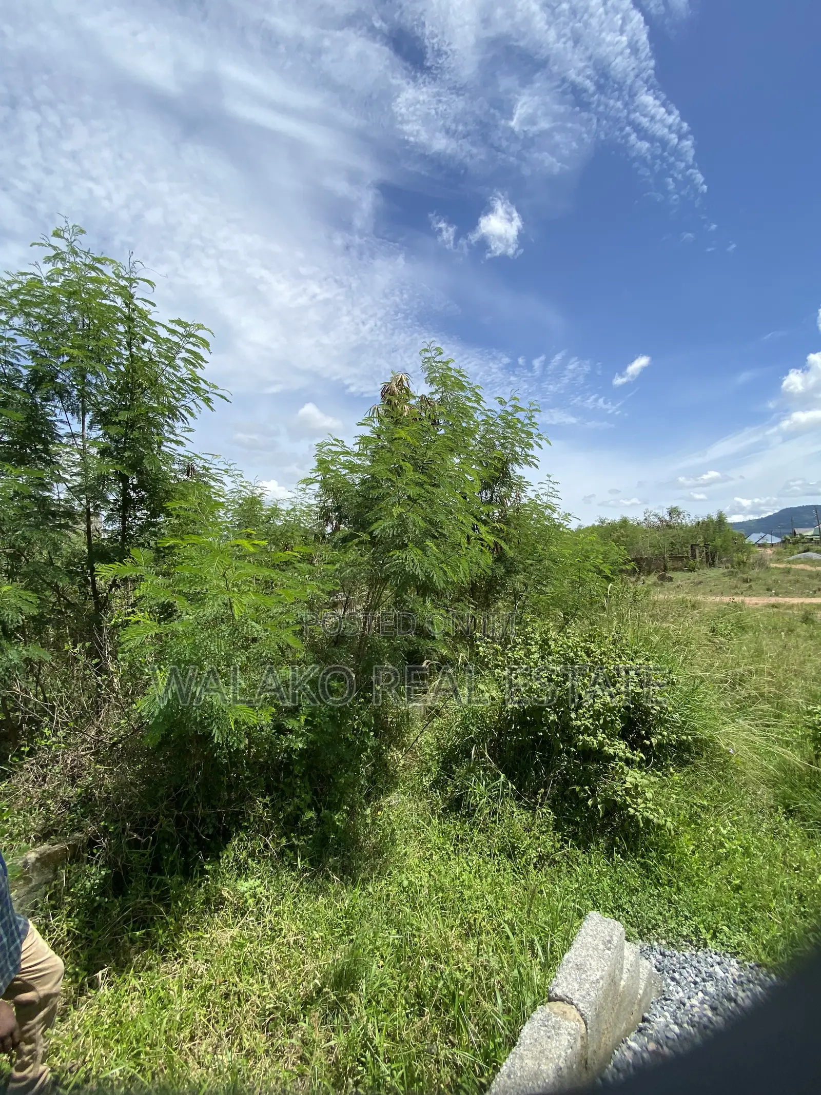 Half Plot of Land