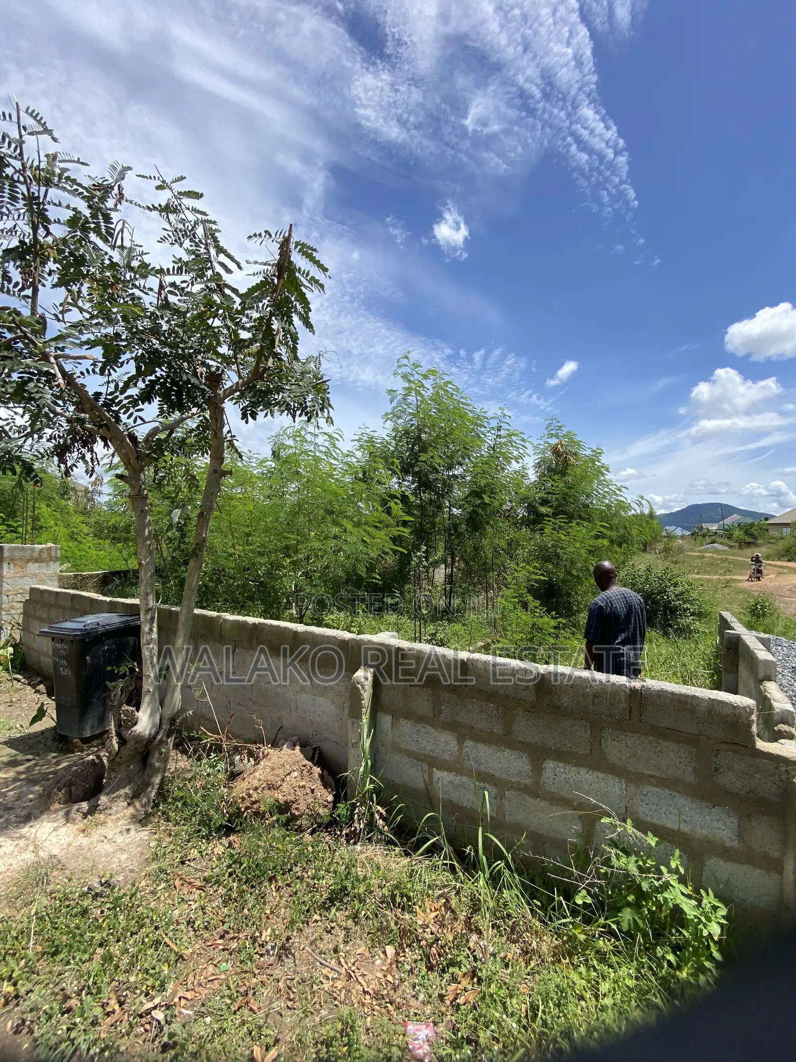 Half Plot of Land