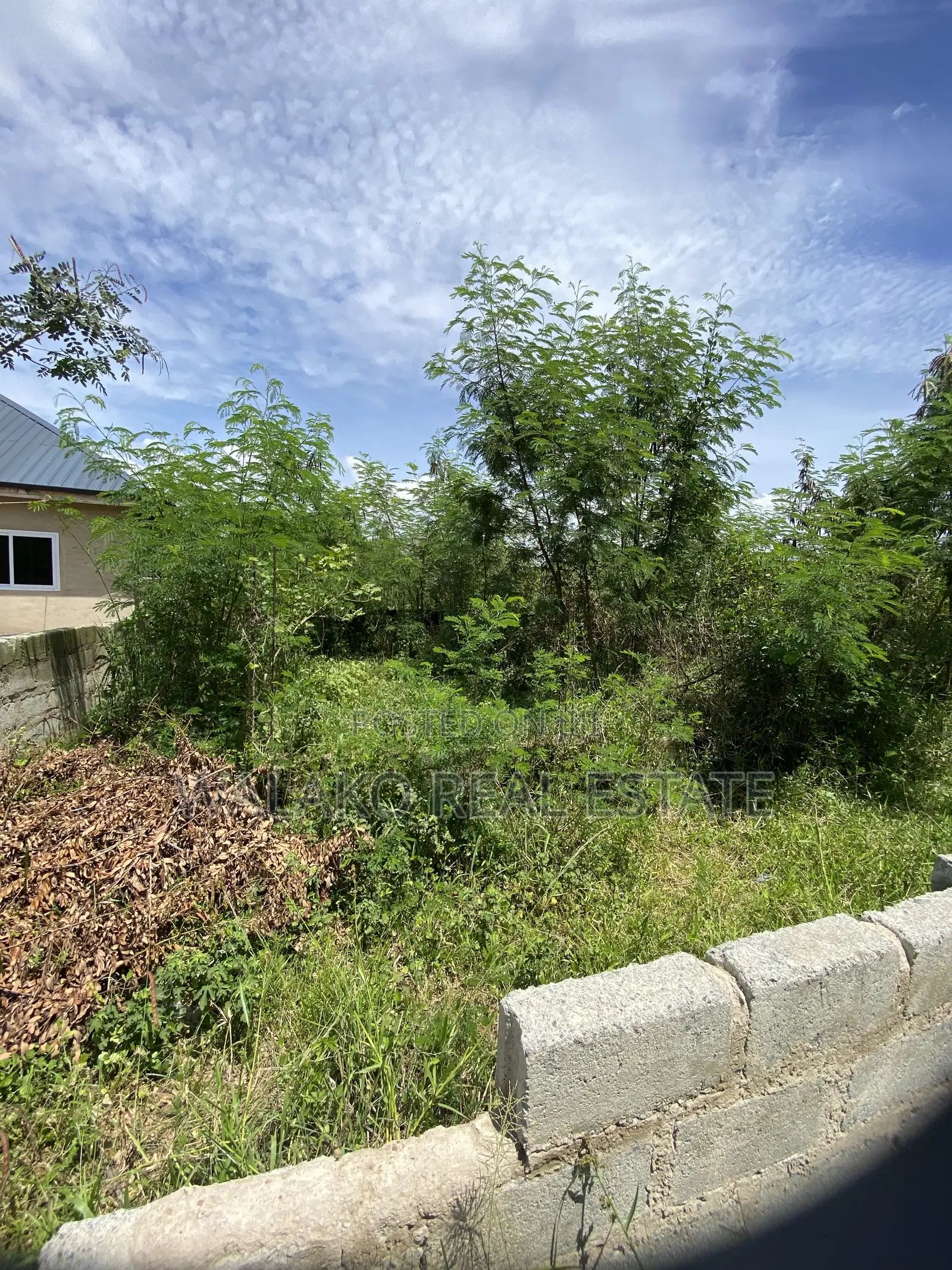 Half Plot of Land