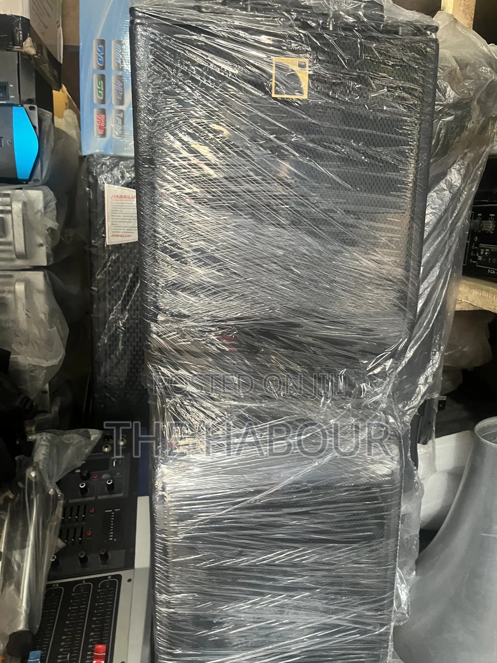 Kara 10 Inches Line Array Speaker