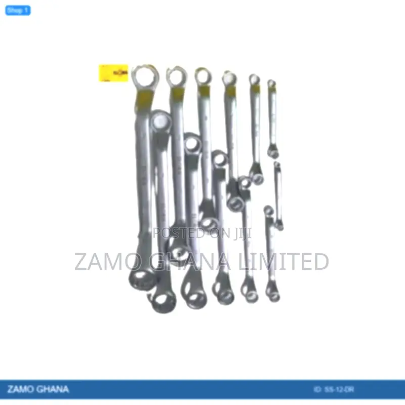 Wagener Double Ring Spanner Set 12pcs 8-32mm - Ss-12-Dr
