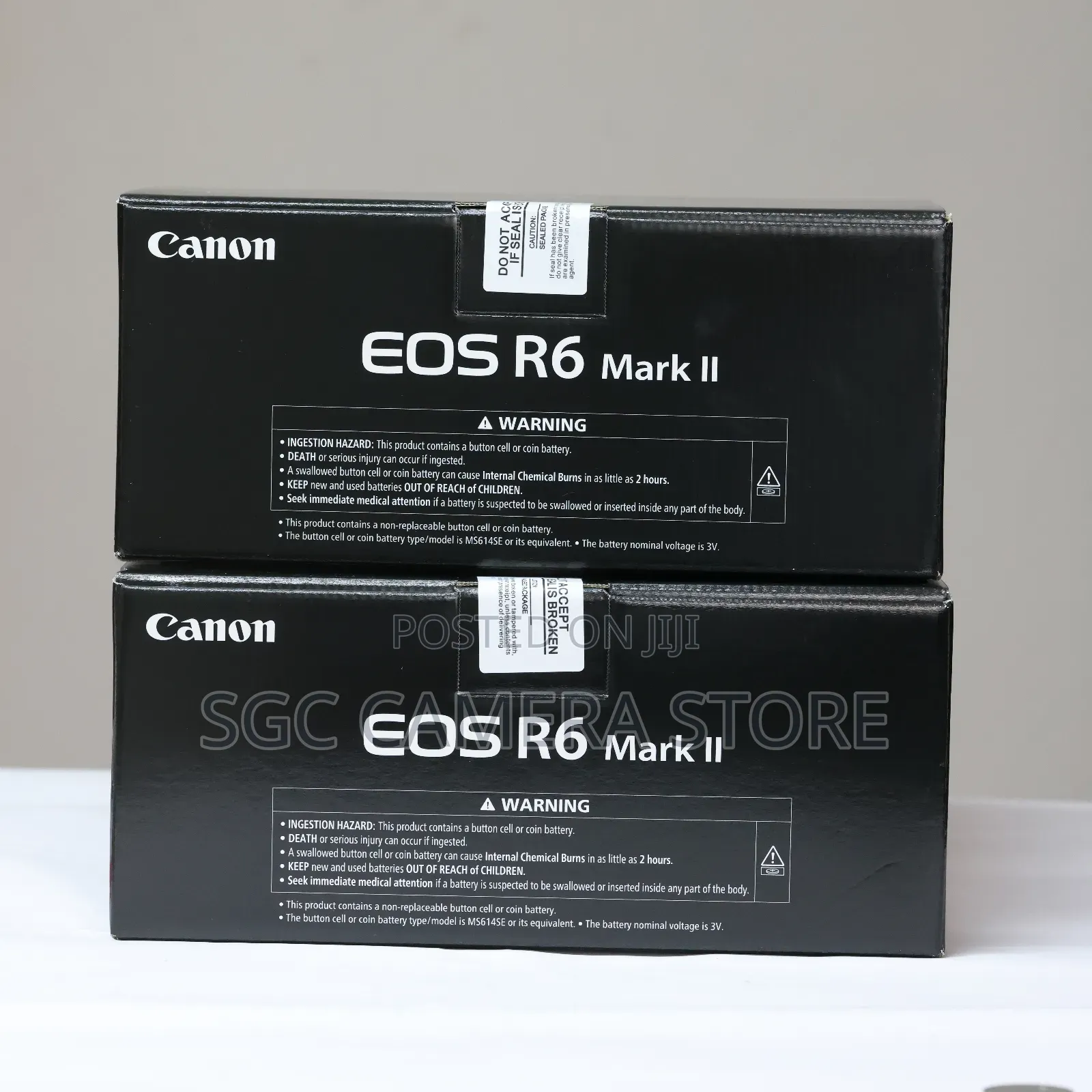 Canon R6 Mark Ii // Combo Package (Read Description)/2 Years Warranty