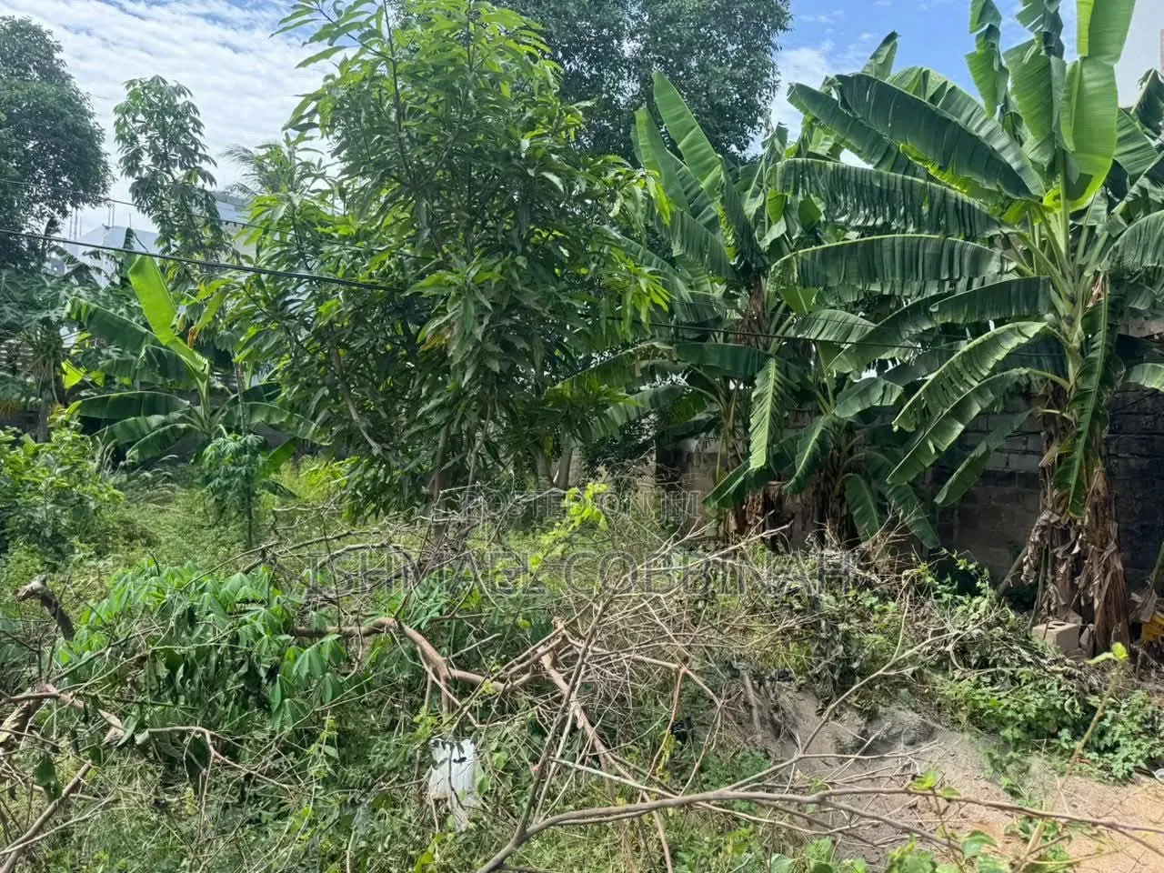 Genuine Land for Sale at Achimota