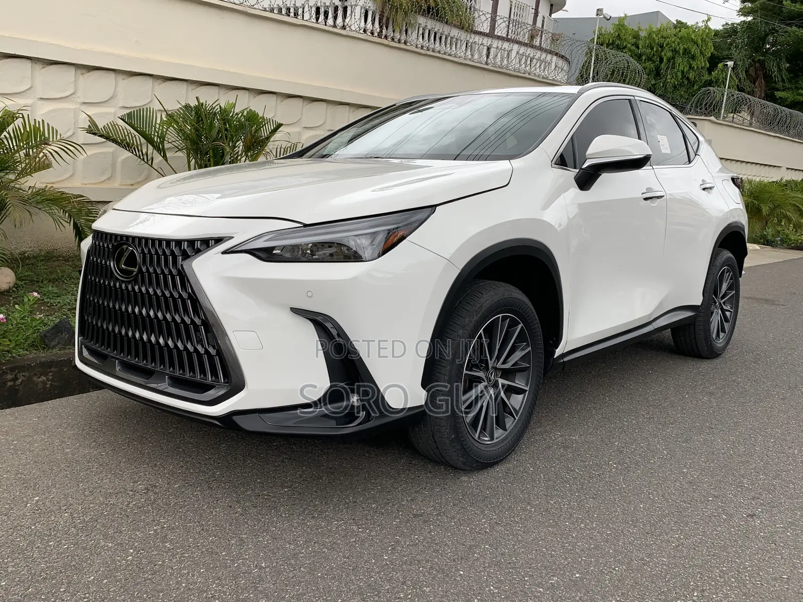 Lexus NX 2024 White