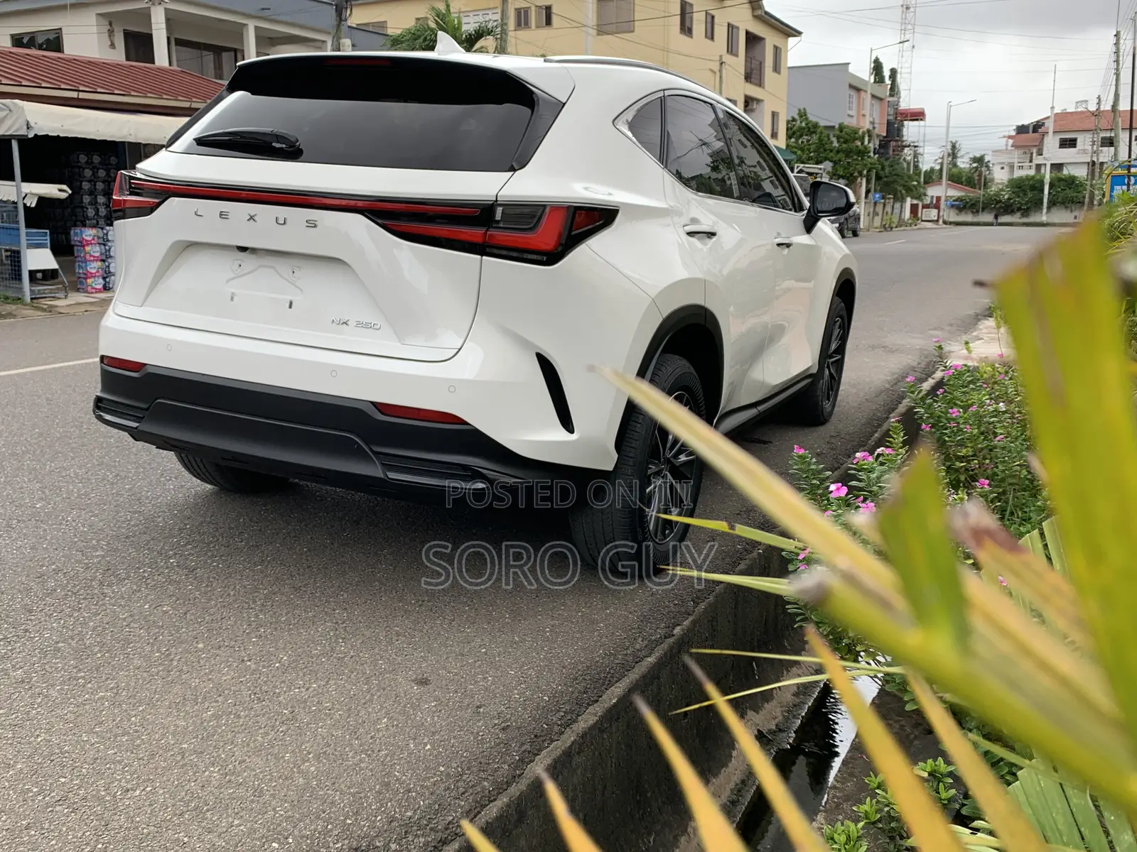 Lexus NX 2024 White