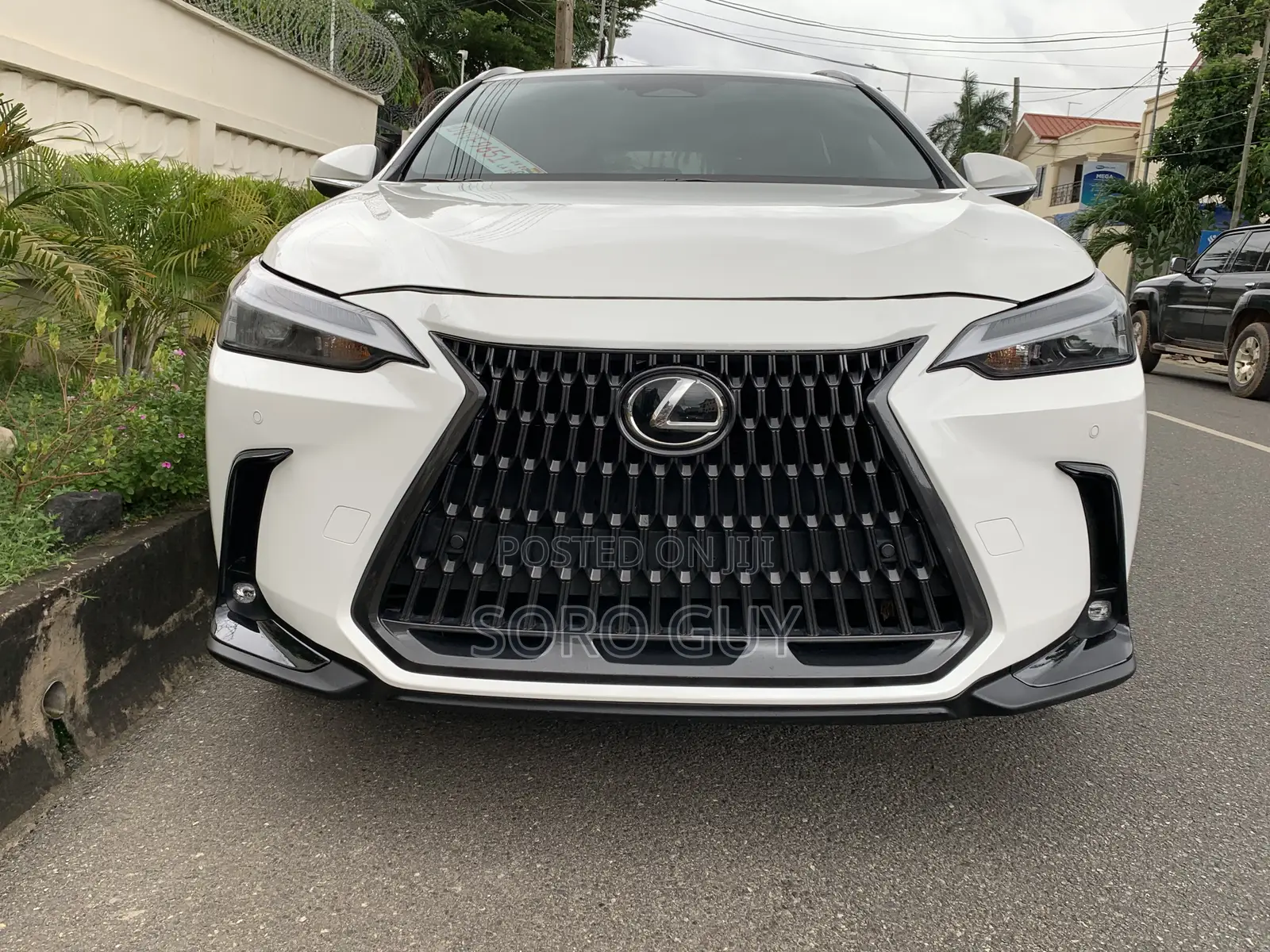 Lexus NX 2024 White
