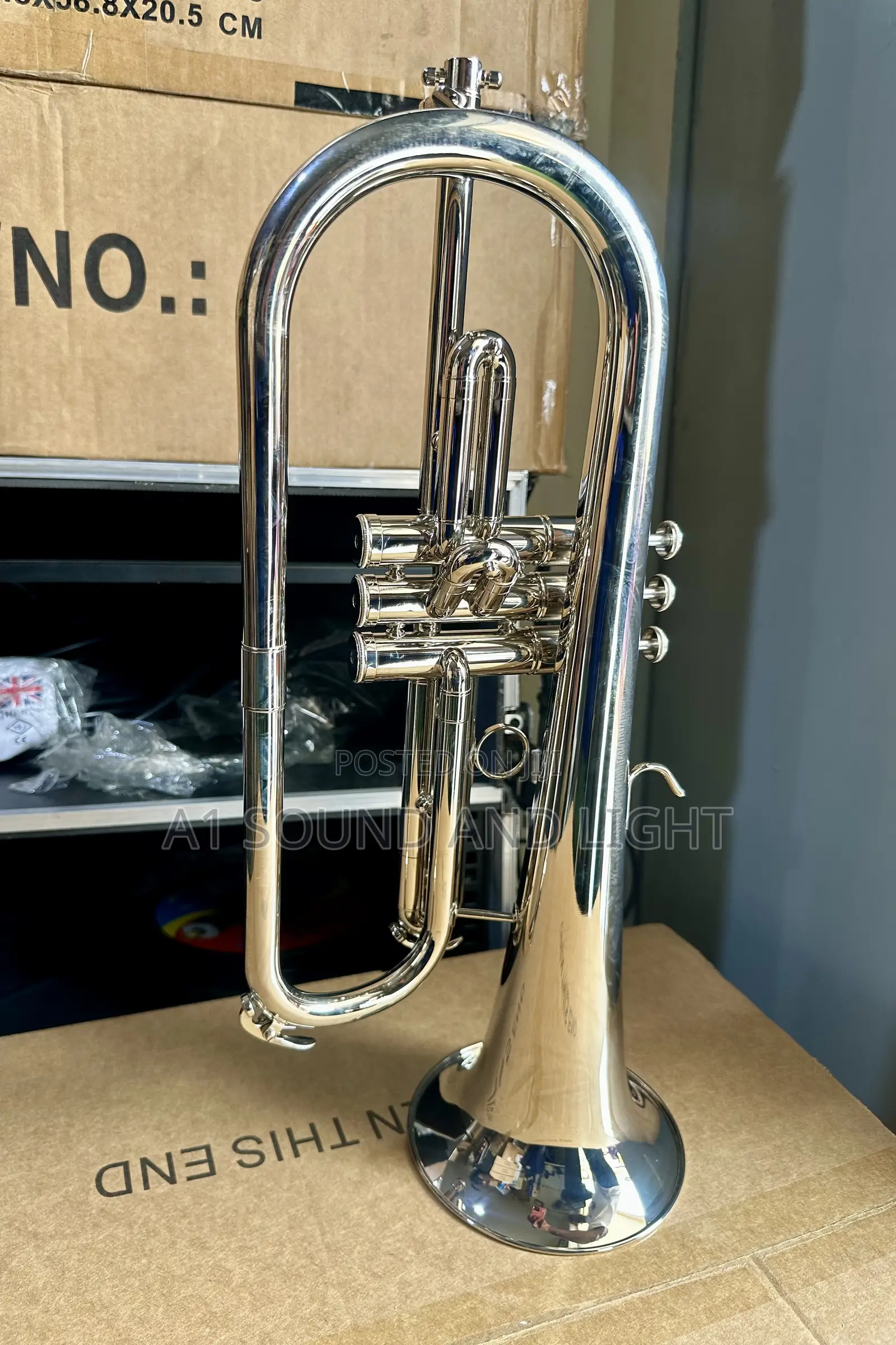 Titanic Usa Yfh-631gs Bb Flugelhorn [Silver]
