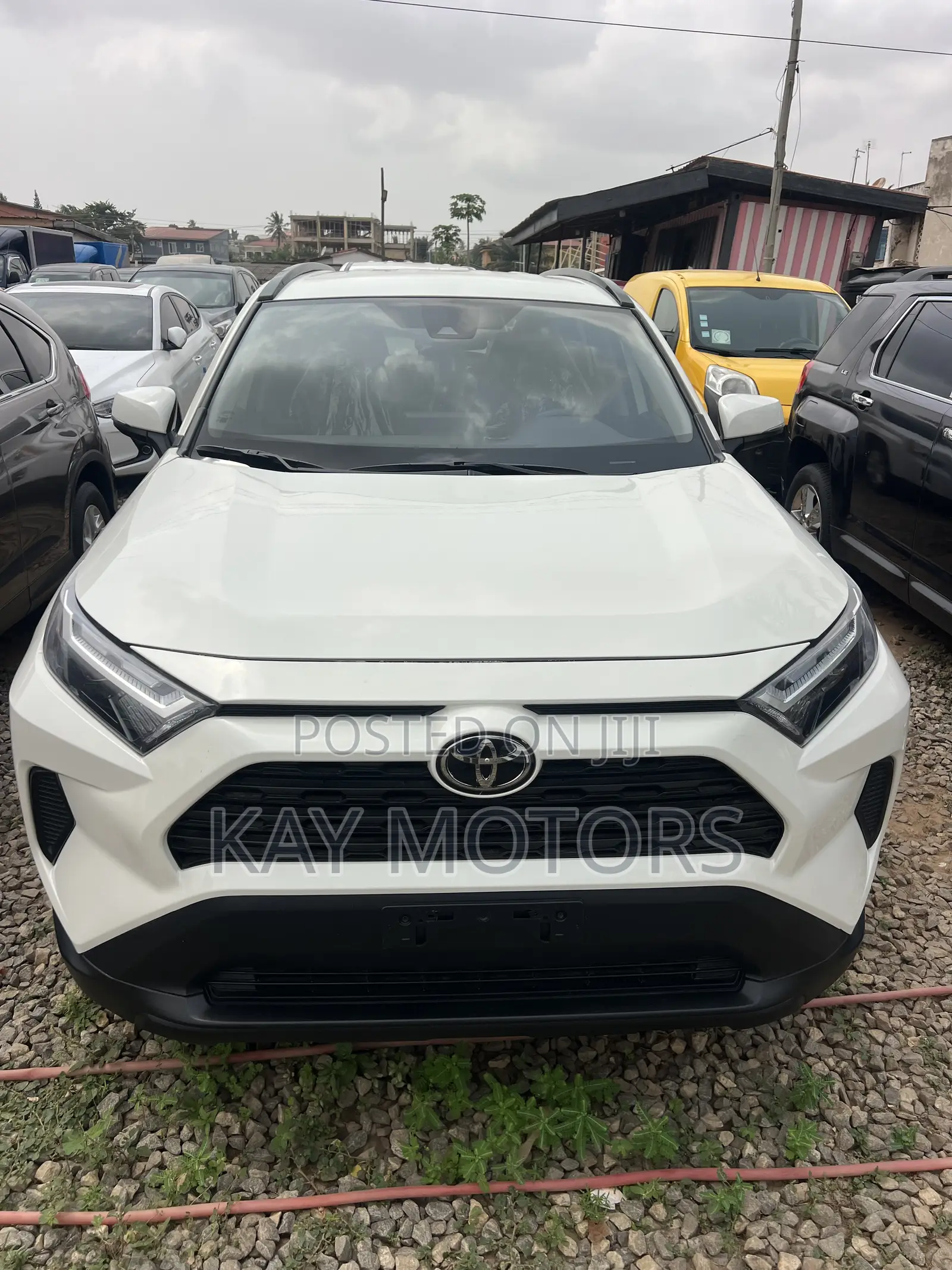 Toyota RAV4 XLE 2022 White