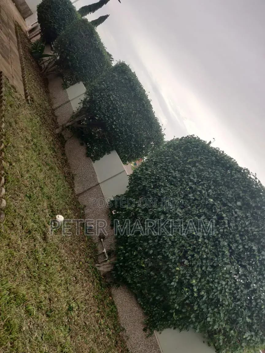 3bdrm House in Devtraco Estates, Community 25 for rent