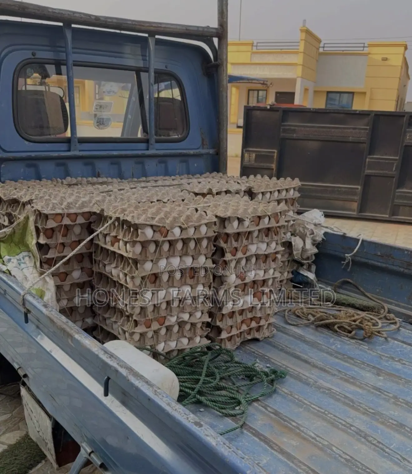 Fresh Eggs Directly From the Farms