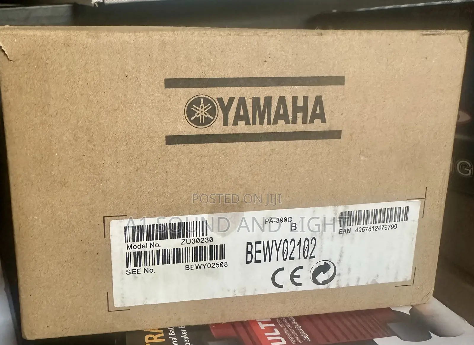 Yamaha Pa-300c Ac Adapter