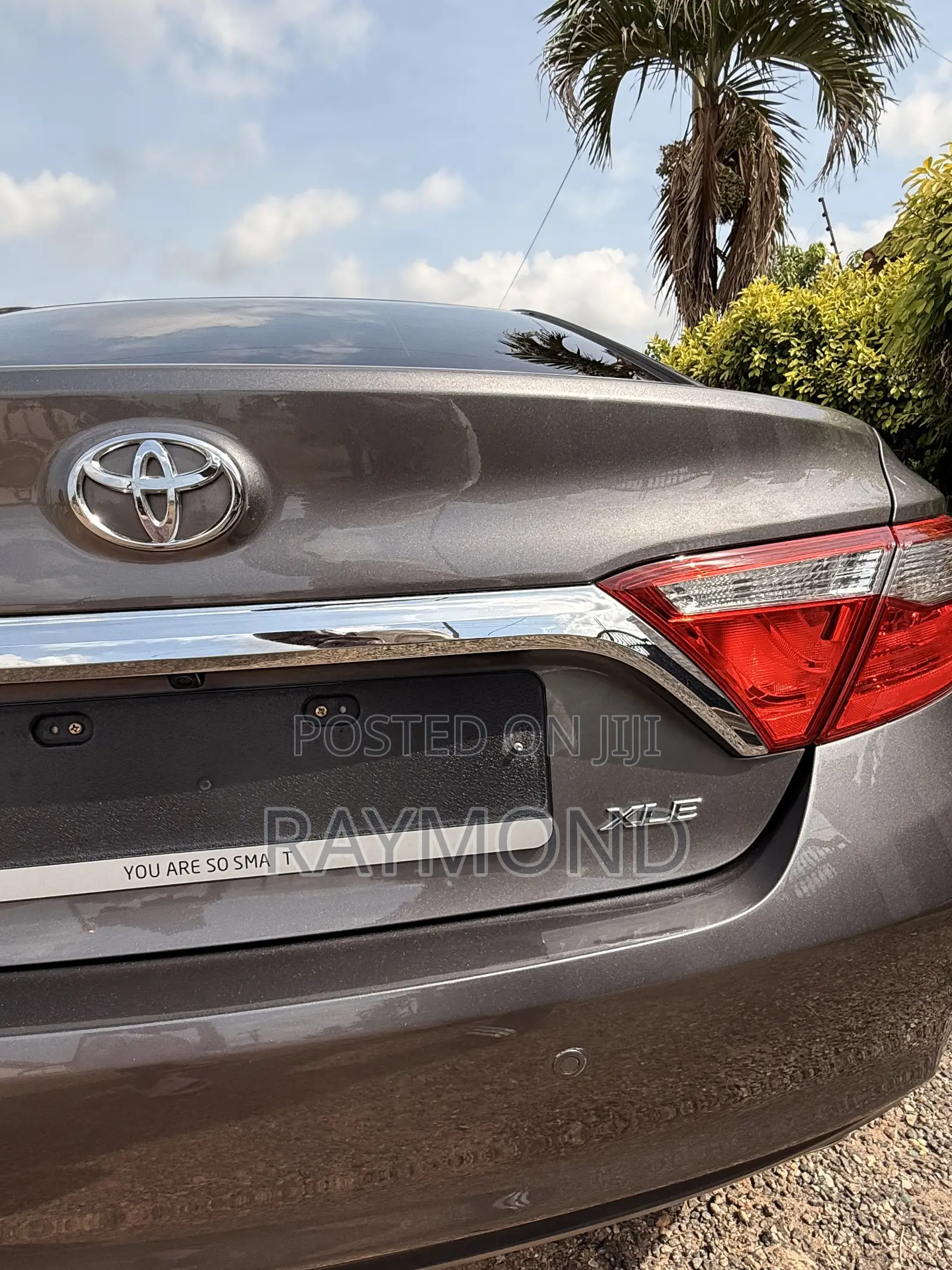 Toyota Camry XLE 4dr Sedan (2.5L 4cyl 6A) 2017 Gray