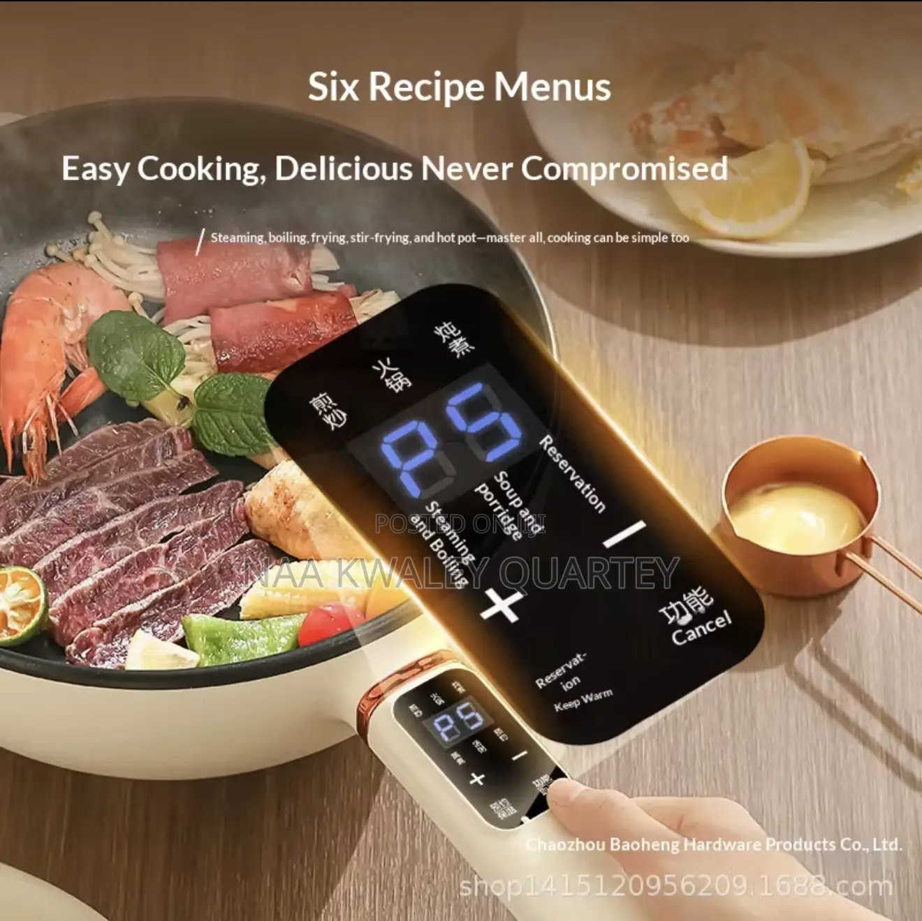 Electric Frying Pan/Wok