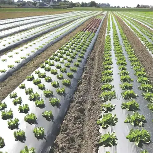 Plastic Mulch (400m)
