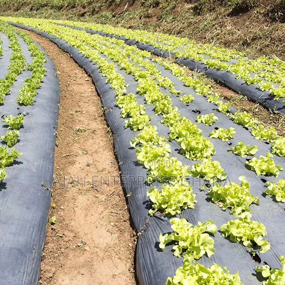 Plastic Mulch (400m)