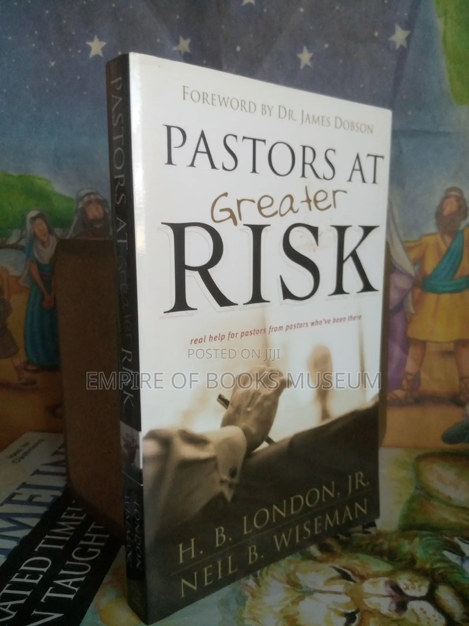 Pastors at Greater Risk Paperback