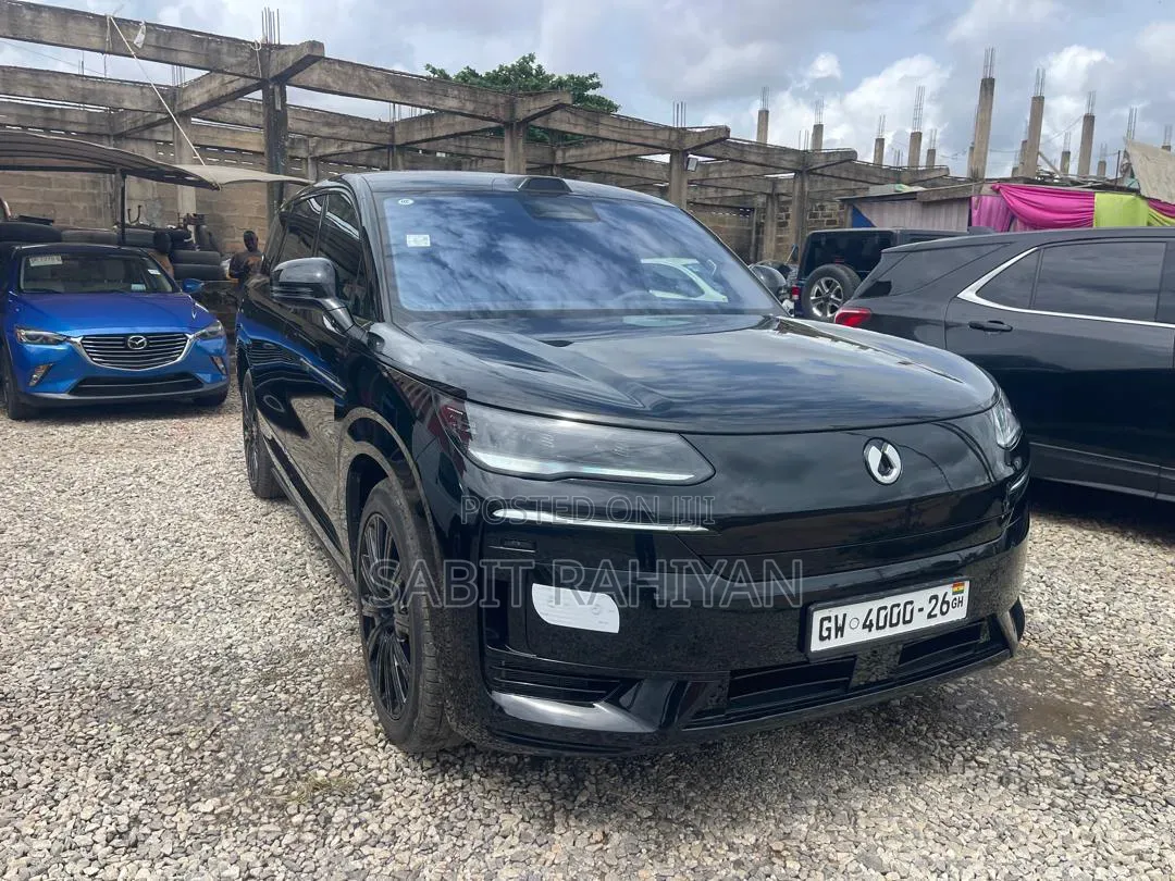Denza N9 2.0 Hybrid AWD 2025 Black