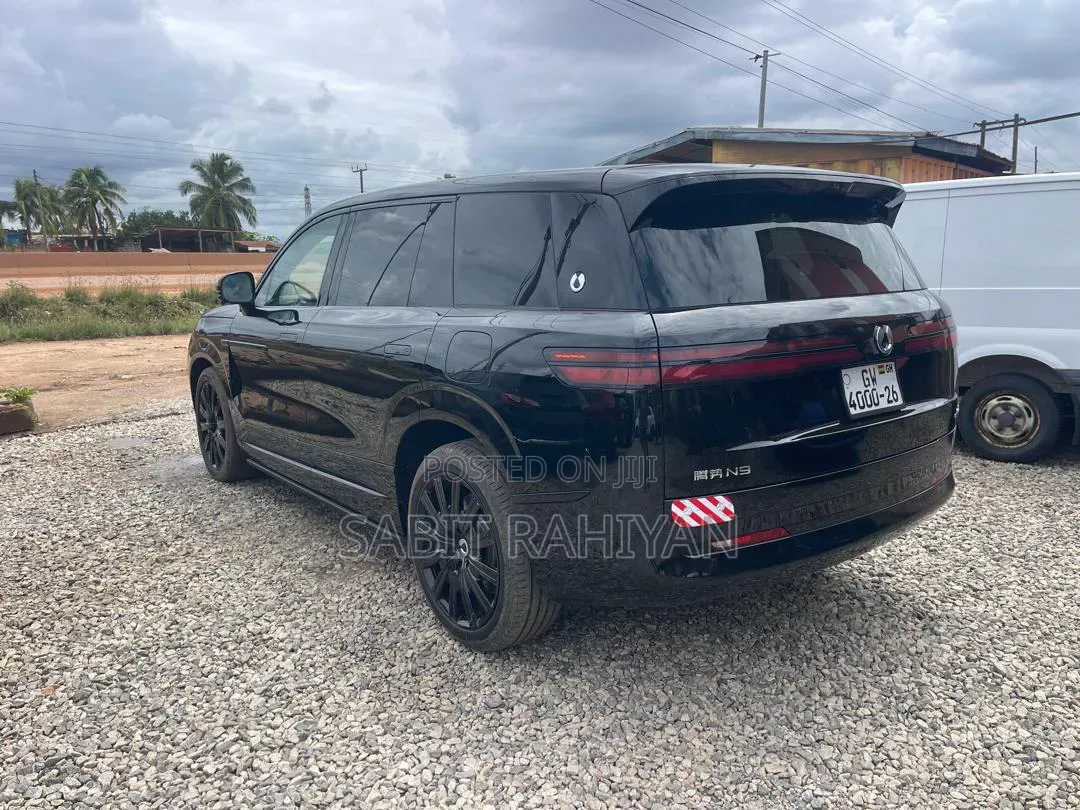 Denza N9 2.0 Hybrid AWD 2025 Black