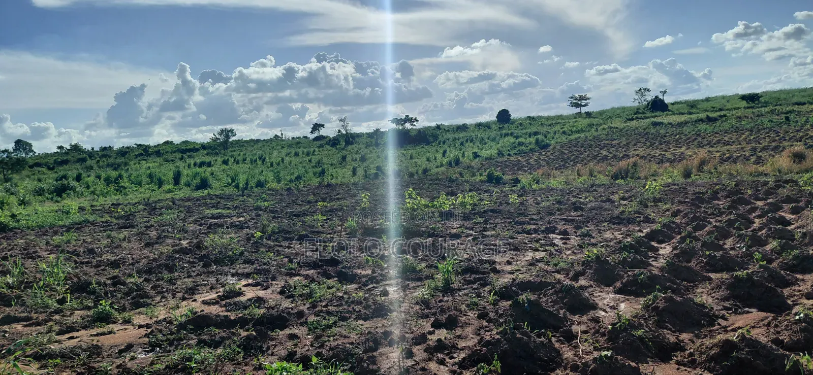 Farm Land Available at Gomoa Kwanyaku