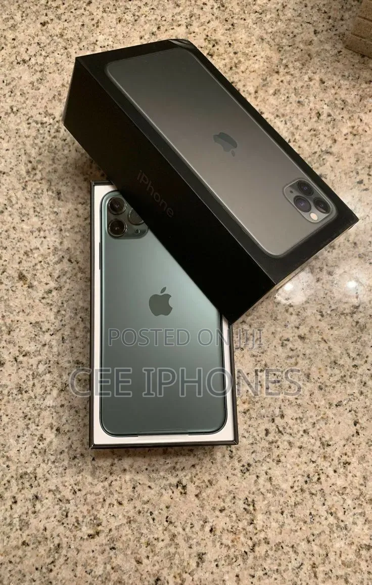 Apple iPhone 11 Pro Max 256 GB Gray