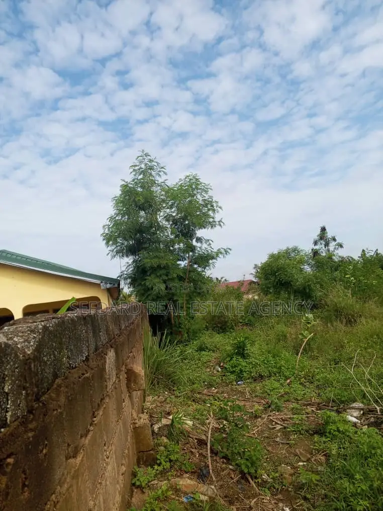 Registered 2 Plots of Land for Sale .