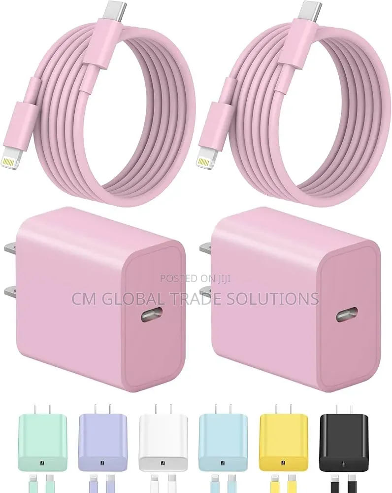 iPhone Charger