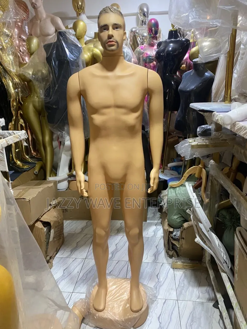 Man Manikin With Head