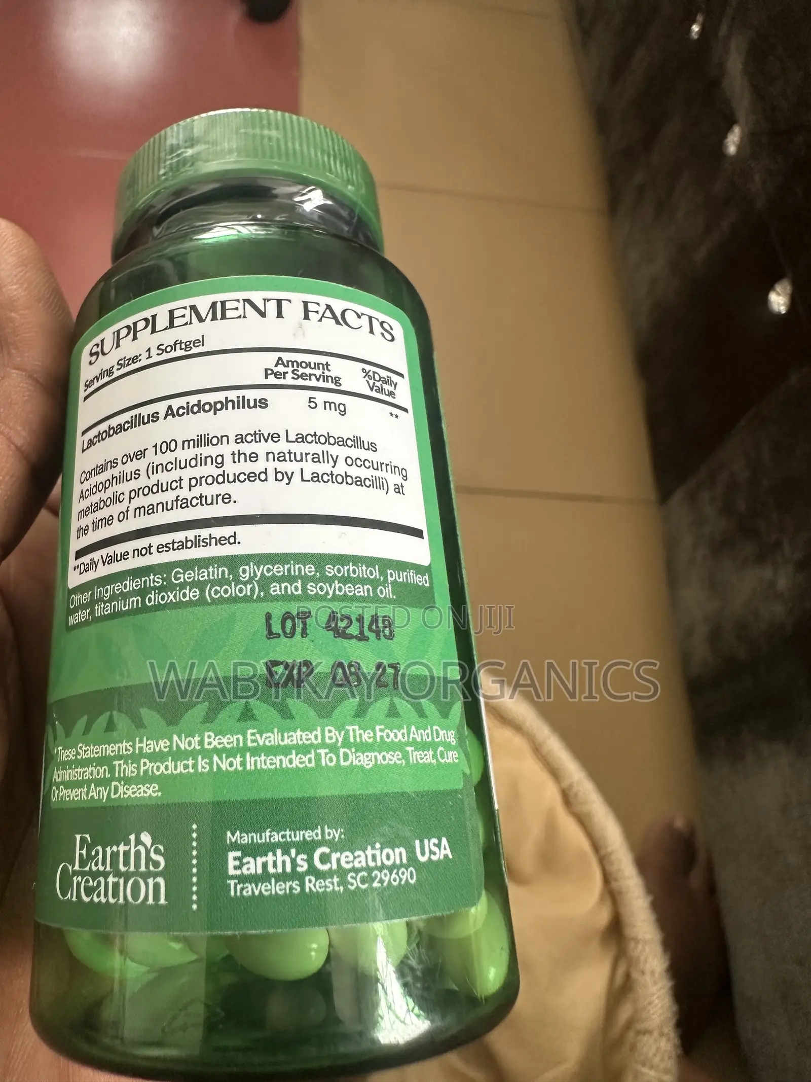 Natural Probiotics Acidophilus