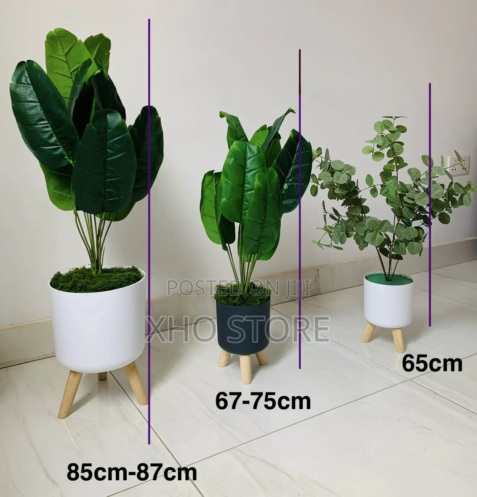 Sophisticated Flowers and Pots Curated for Modern Living Spaces