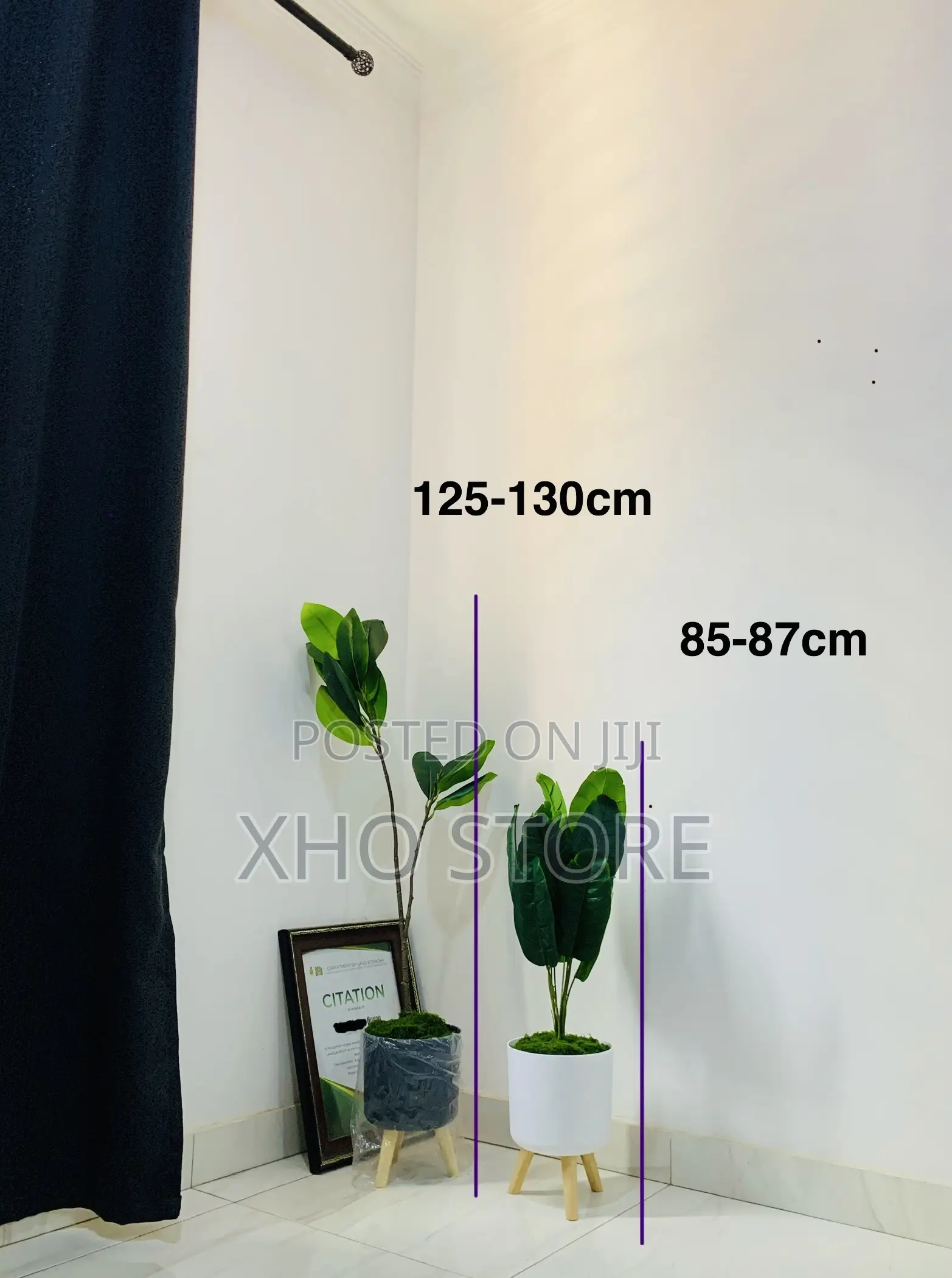 Modern Indoor Potted Plants Wooden Stands Flower Pots