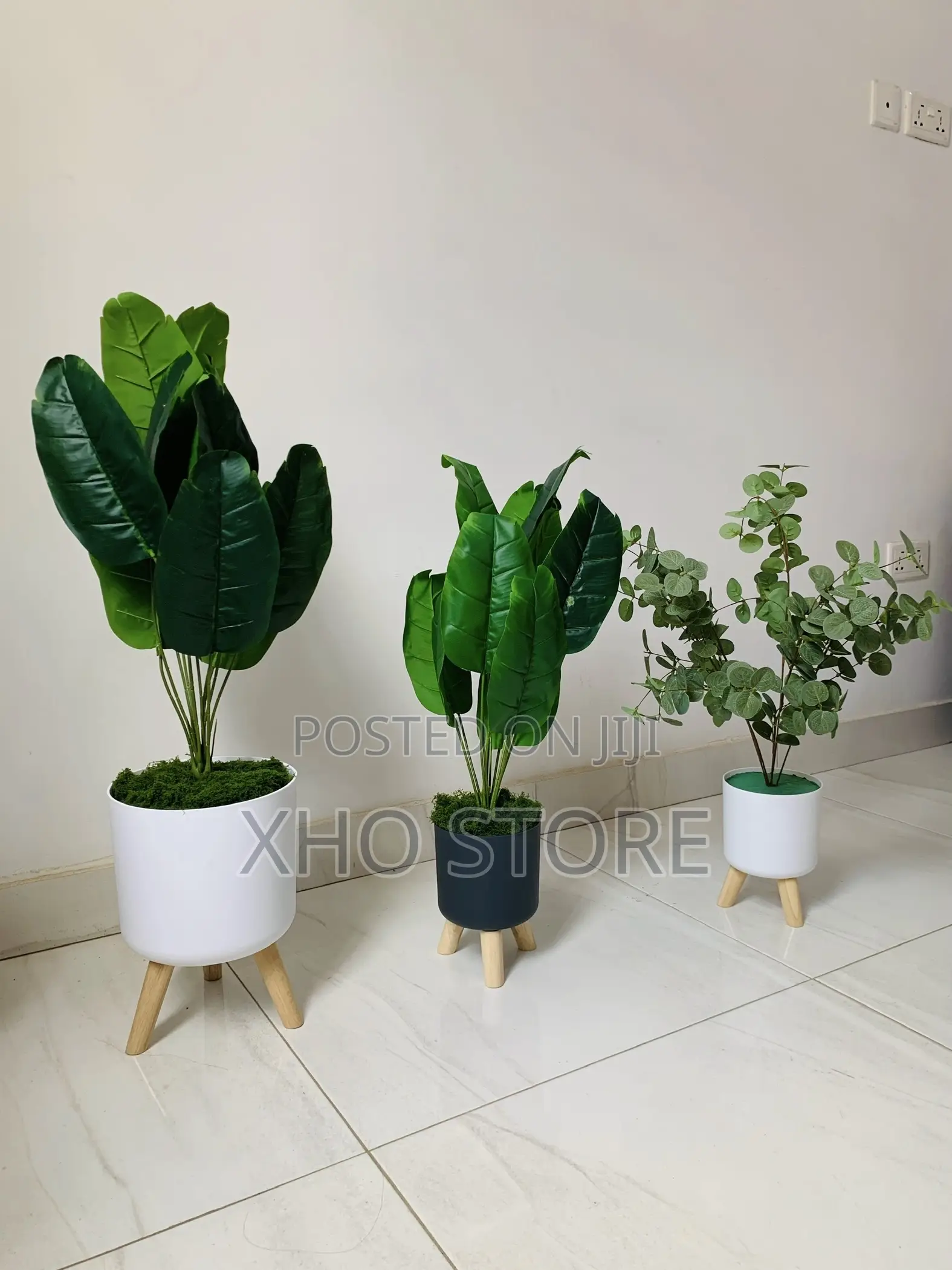 Modern Indoor Potted Plants Wooden Stands Flower Pots