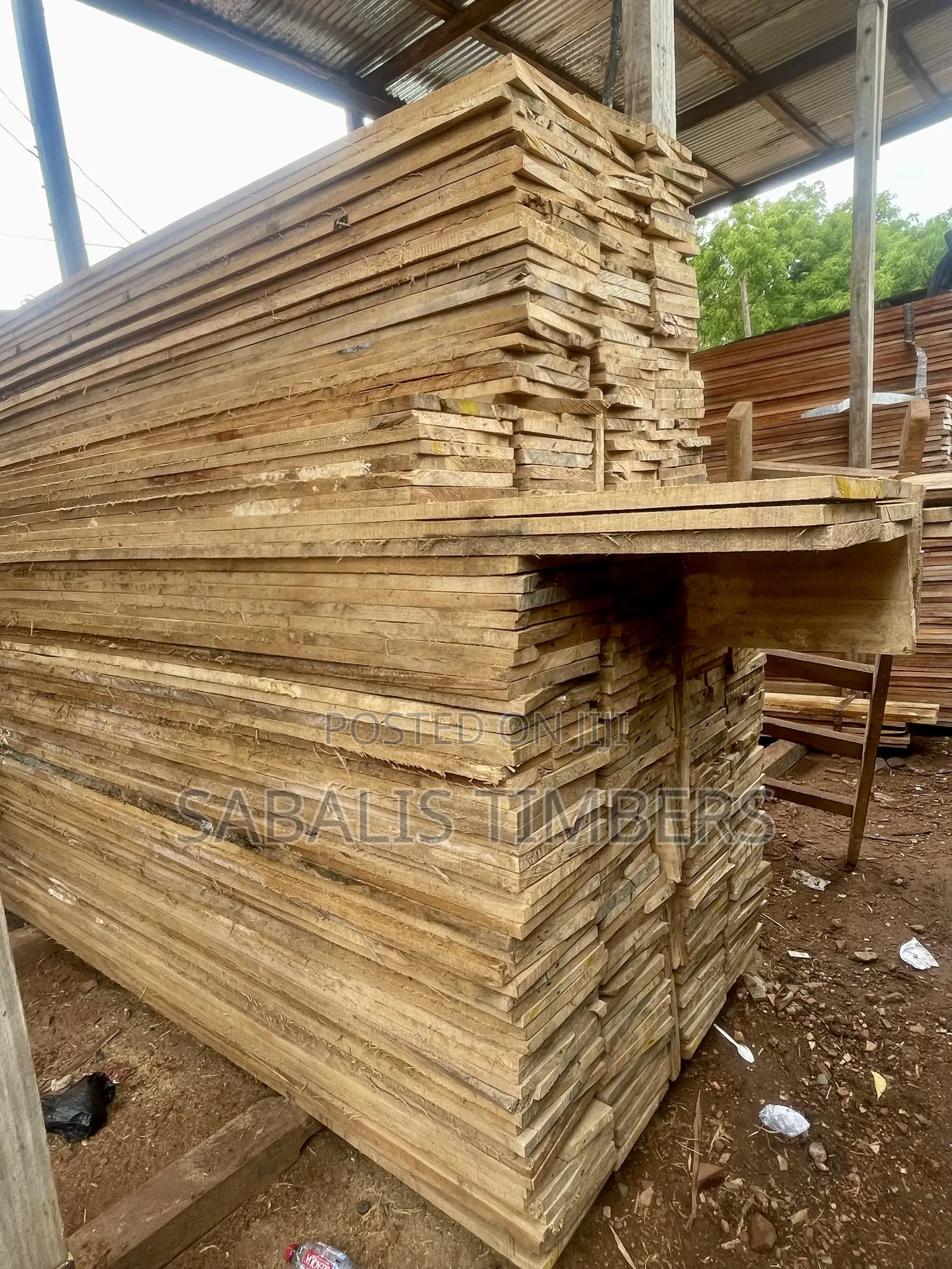 Ceiba Board (Sawmill Bush Cut)