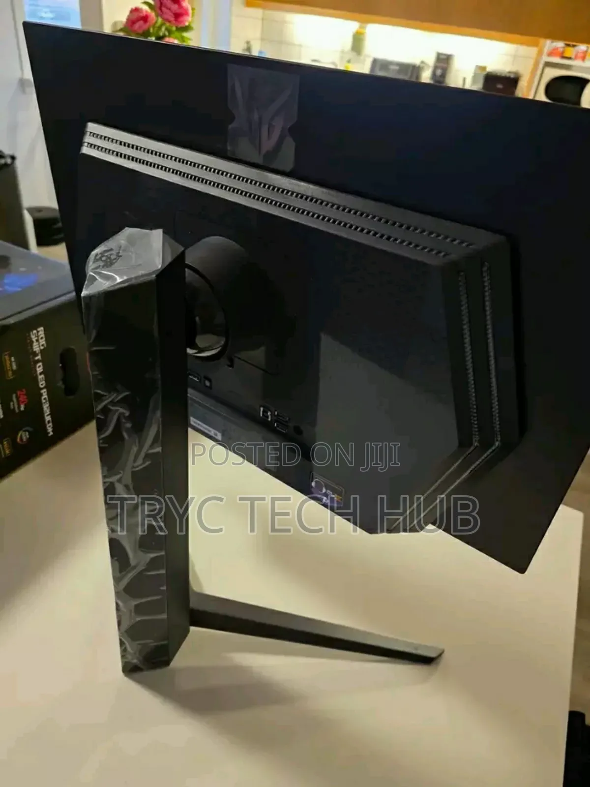 Asus Oled Monitor