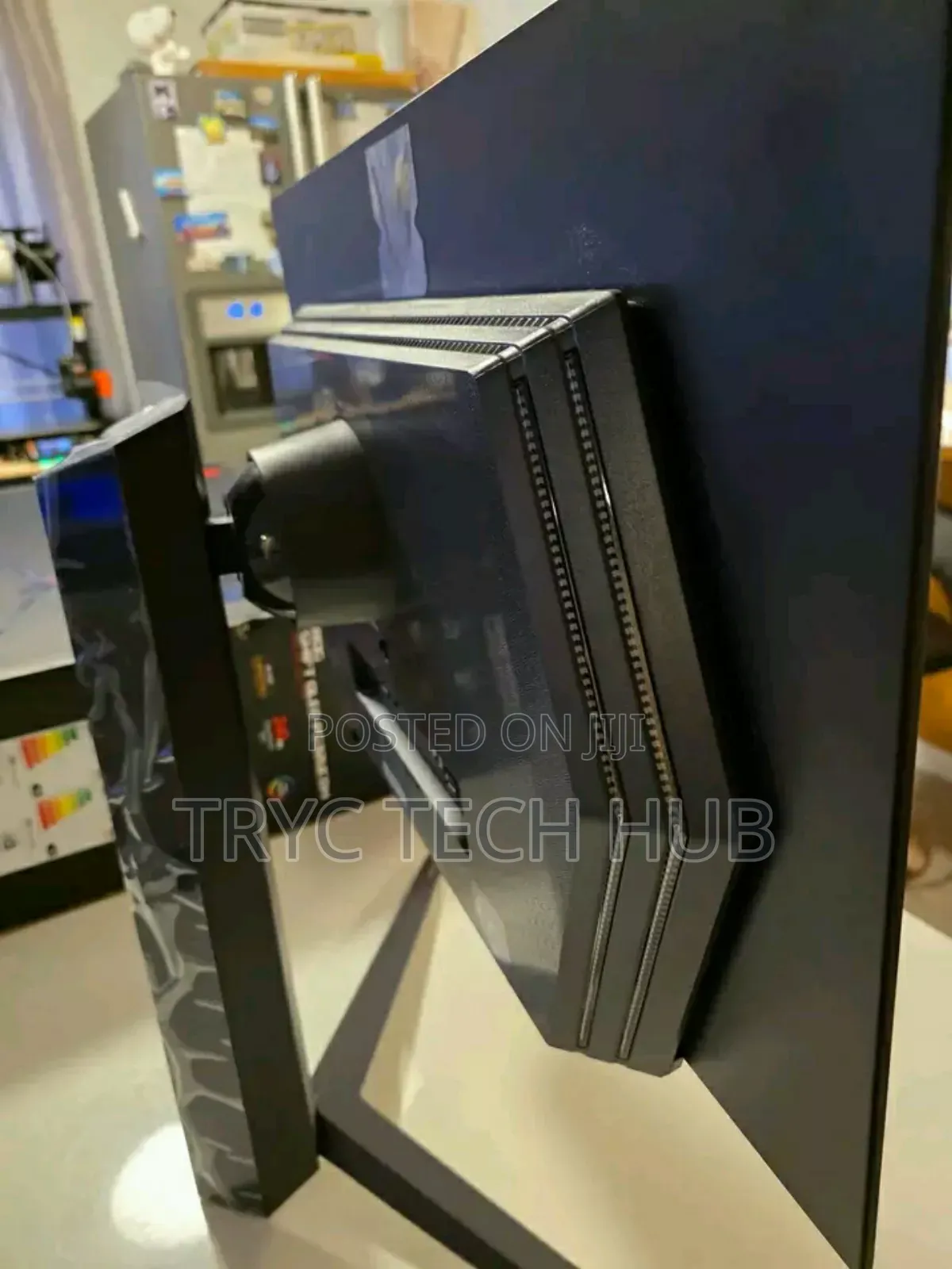 Asus Oled Monitor
