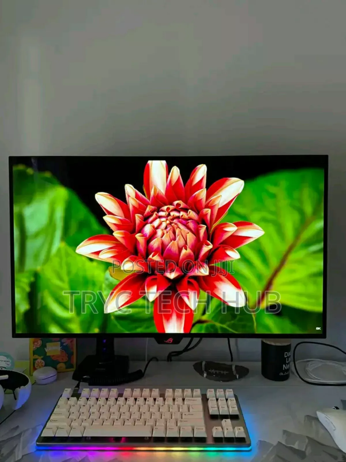 Brand New Asus Oled Monitor