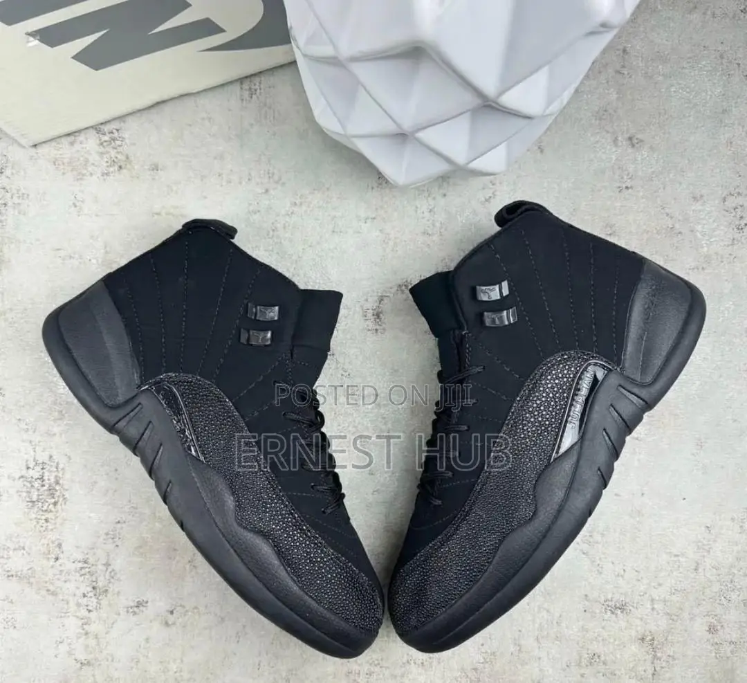 Air Jordan Twelve