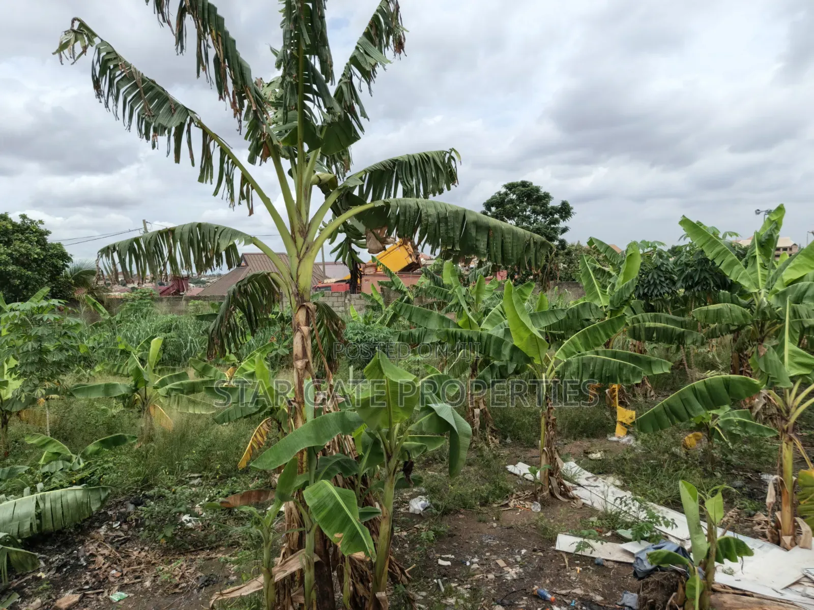 Plot for Sale at Afrancho 3rd Plot Main Highway ( Kronum)