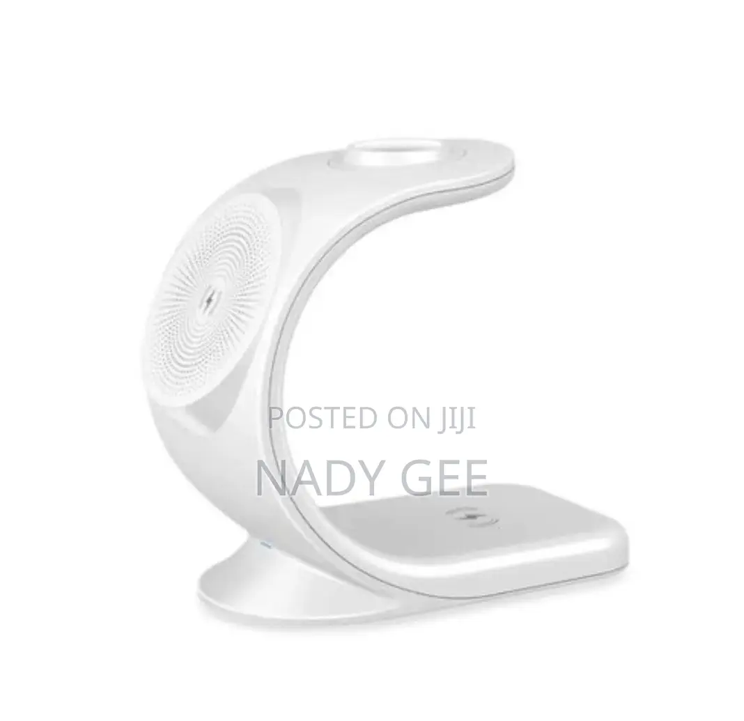 Universal 3 in 1 Magnetic Charger