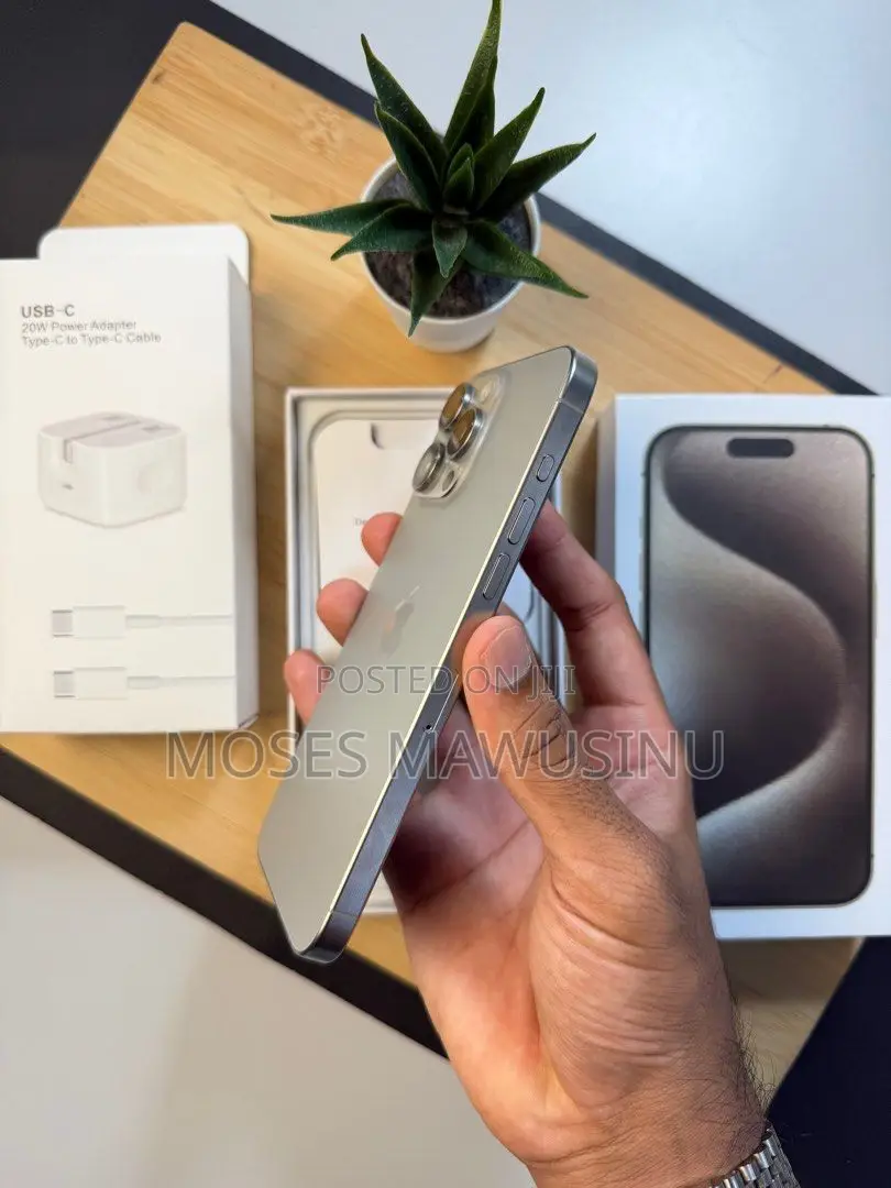 Apple iPhone 15 Pro Max 256 GB Gray