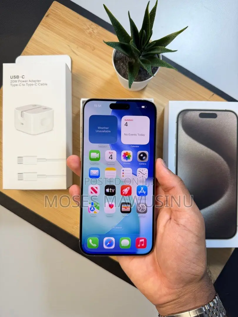 Apple iPhone 15 Pro Max 256 GB Gray