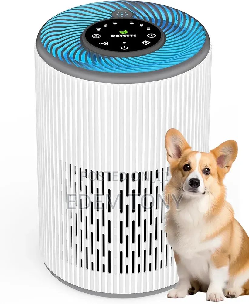 Dayette Air Purifier