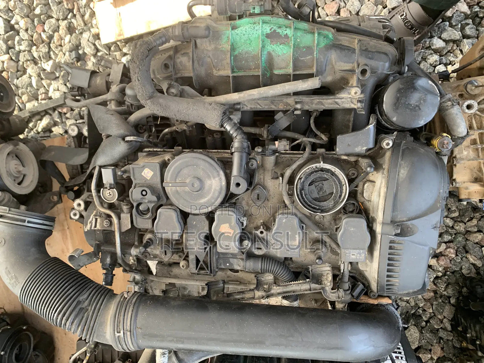 Audi/Jetta Engines